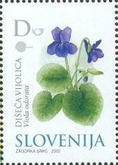 Colnect-699-047-Sweet-Violet-Viola-odorata---Medicinal-Plants.jpg