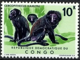 Colnect-1104-920-Hamlyn--s-Monkey-Cercopithecus-hamlyni.jpg