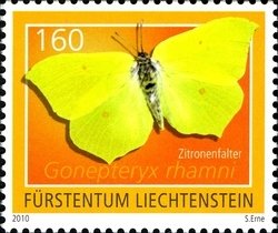 Colnect-1165-666-Brimstone-Gonepteryx-rhamni.jpg