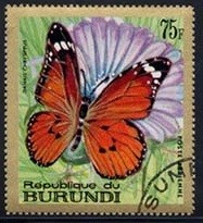 Colnect-1263-040-African-Monarch-Danaus-chrysippus.jpg