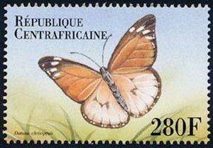 Colnect-2149-676-African-Monarch-Danaus-chrysippus.jpg