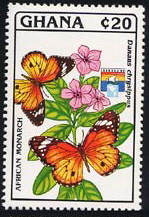 Colnect-2170-907-African-Monarch-Danaus-chrysippus.jpg