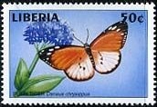 Colnect-2501-436-African-Monarch-Danaus-chrysippus.jpg