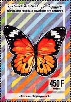 Colnect-3467-869-African-Monarch-Danaus-chrysippus.jpg