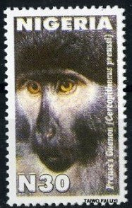 Colnect-3594-780-Preuss--s-Monkey-Cercopithecus-preussi.jpg