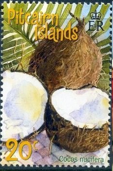 Colnect-3979-830-Coconut-Cocos-nucifera.jpg