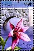 Colnect-4385-277-Lilium-martagon--quot-Martagon-Lily-quot-.jpg