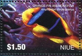 Colnect-4734-684-Orange-Fin-anemonefish-Amphiprion-chrysopterus.jpg