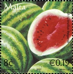 Colnect-657-678-Watermelons-Citrullus-vulgaris.jpg