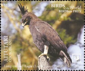 Colnect-7163-158-Long-Crested-Eagle.jpg