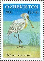 Colnect-824-047-Eurasian-Spoonbill-Platalea-leucorodia.jpg