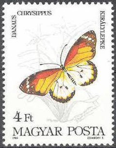 Colnect-941-415-African-Monarch-Danaus-chrysippus.jpg