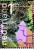 Colnect-1485-539-Sri-Lankan-Leopard-Panthera-pardus-kotiya.jpg