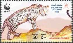 Colnect-1541-196-Arabian-Leopard-Panthera-pardus-nimr.jpg