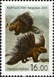 Colnect-1535-176-Crested-Porcupine-Hystrix-cristata.jpg