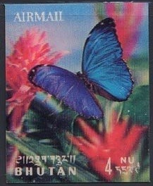 Colnect-1567-635-Blue-Morpho-Morpho-rhetenor.jpg