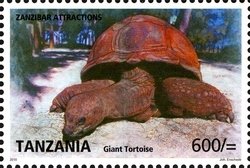 Colnect-1692-632-Aldabra-Giant-Tortoise-Aldabrachelys-gigantea.jpg