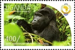 Colnect-1716-829-Gorilla-Gorilla-sp.jpg