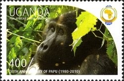 Colnect-1716-832-Gorilla-Gorilla-sp.jpg