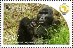 Colnect-1716-834-Gorilla-Gorilla-sp.jpg