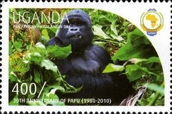 Colnect-1716-840-Gorilla-Gorilla-sp.jpg