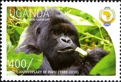 Colnect-1716-841-Gorilla-Gorilla-sp.jpg