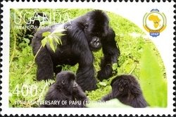 Colnect-1716-843-Gorilla-Gorilla-sp.jpg