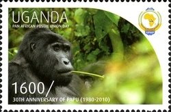 Colnect-1716-851-Gorilla-Gorilla-sp.jpg