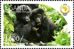 Colnect-1716-855-Gorilla-Gorilla-sp.jpg