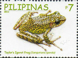 Colnect-2853-253-Taylor--s-Igorot-Frog-Sanguirana-igorota.jpg