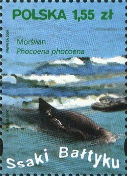 Colnect-2898-028-Harbour-Porpoise-Phocoena-phocoena.jpg