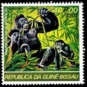 Colnect-3268-703-Gorilla-Gorilla-sp.jpg