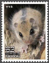 Colnect-3536-803-Japanese-Dormouse-Glirulus-Japonicus.jpg