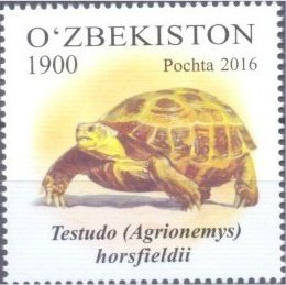 Colnect-3564-726-Horsfield-s-Tortoise-Testudo-horsfieldii-.jpg