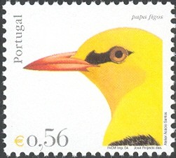 Colnect-568-141-Golden-Oriole-Oriolus-oriolus.jpg