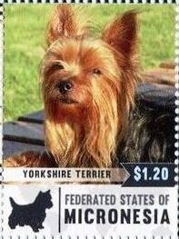 Colnect-5812-301-Yorkshire-terrier.jpg