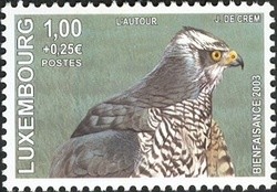 Colnect-858-601-Northern-Goshawk-Accipiter-gentilis.jpg