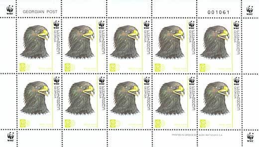 Colnect-1109-169-Greater-Spotted-Eagle%C2%A0Aquila-clanga.jpg