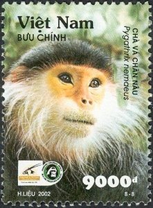 Colnect-1620-819-Red-shanked-Douc-Langur-Pygathrix-nemaeus.jpg