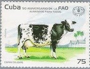 Colnect-1060-791-Siboney-Cow-Bos-primigenius-taurus.jpg