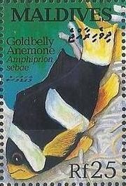 Colnect-1459-945-Sebae-Clownfish-Amphiprion-sebae.jpg