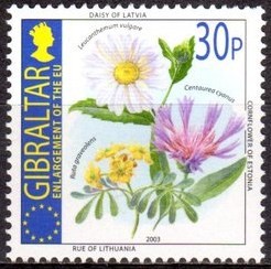 Colnect-1849-540-Daisy-of-Latvia-Cornflower-of-Estonia-and--Rue-of-Lithuania.jpg