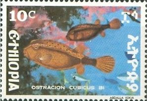 Colnect-3315-406-Yellow-Boxfish-Ostracion-cubicus.jpg