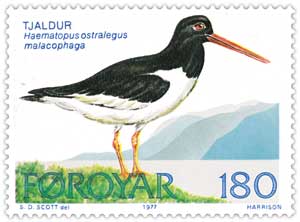 Faroe_stamp_023_oyster_catcher.jpg