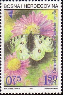 Colnect-568-489-Apollo-Parnassius-apollo.jpg