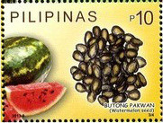 Colnect-2850-625-Butong-Pakwan-Watermelon-Seed.jpg