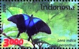 Colnect-4743-860-Papilio-perantus.jpg