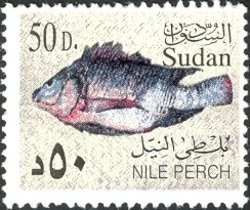 Colnect-1698-752-Nile-Perch-Lates-niloticus.jpg