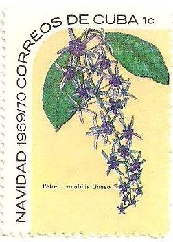 Colnect-1726-375-Petrea-volubilis.jpg