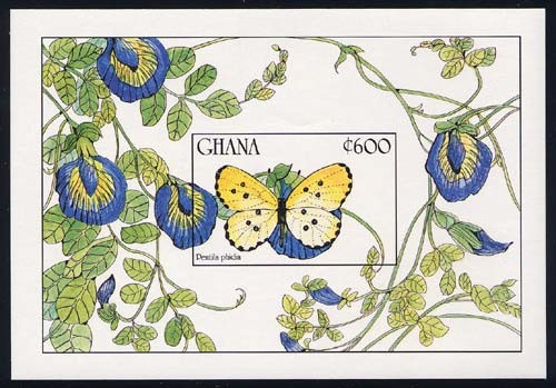 Colnect-2170-904-Ghana-Pentila-Pentila-phidia.jpg